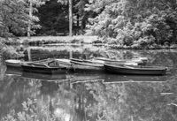 Bürgerpark Bremen